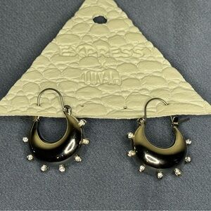 NWT Express x Luv Aj earrings